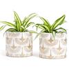 Vimin Box Coppia di Vasi in Terracotta, decorati a mano, BIANCO e ORO, per Piante e Fiori, Decorazione Casa, Diametro 11cm - 11cm (Bianco/Oro, 2x S)