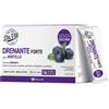 Marco viti farmaceutici spa DR VITI DRENANTE MIRT 28STICK