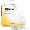 GUNA SpA ENGYSTOL 10FL HEEL