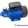 Elettropompa Periferica Lowara PM 70 1 Hp 0,75 kW Monofase
