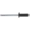 Sealey RAB4814S rivetti in alluminio nero flangia standard 4.8 x 14 mm, 200 pezzi