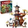 LEGO Tempio Ninjago del Drago Power 71795