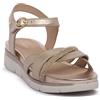 STONEFLY I89 ELODY 25