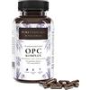Puretanicals Capsule di Estratto di Semi D'uva OPC + Vitamina C, A naturale & E | Complesso Antiossidante ad alto Dosaggio Testato in Laboratorio | 530mg di Estratto di Vinacciolo puro | Vegan