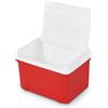 IGLOO Passive Mini-frigo Laguna 9, piccola e leggera borsa termica per campeggio, colazione, lavoro e snack, 8 litri