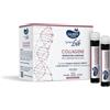 Sauber Systemlife Antieta' Collagene 10 Flaconcini Da 25 Ml Alimenti Normali