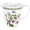 Portmeirion Home & Gifts BG76009-X Caraffa Graduata, Porcellana, Multicolore