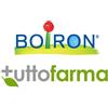 Boiron INFLUENZINUM (INF) 09CH DOSE