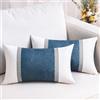 DecorMommt Fodere per Cuscini 30x50 Blu Set di 2 Federe Moderno Fodere Decorative per Cuscini Lusso Cuscino per Divano Auto Letto Soggiorno Home Decor