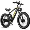 Rincon RN70 Adult Peak 3000W E-Mountain ebike da uomo con due motori batteria muslimex 26 pollici di larghezza pneumatico MTB bici elettrica - 48V20AH Gold Brake