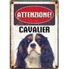 LEO PET Targhetta Decorativa Razza Cavalier King Charles Spaniel - 15x21 cm