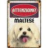 LEO PET Targhetta Decorativa Razza Maltese in Metallo - 15x21 cm