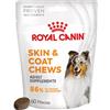 Royal Canin Skin & Coat Chews Adult Supplement Snack cane - Set %: 2 x 240 g (120 pz)