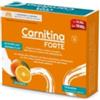 Paladin Pharma Sanavita Carnitina Forte Integratore per Energia e Forza 14 bustine