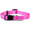 ZOLUX Collare in Nylon Regolabile Alta Visibilità - 10 mm, Fucsia Neon