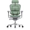Procomfort ERGOHUMAN ELITE EVOLUTION Struttura Grigia - Rete Verde
