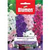 Blumen delphinium o speronella in miscuglio