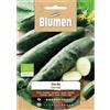 Blumen cetriolo verde