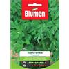 Blumen prezzemolo gigante d'italia