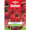 Blumen pomodoro costoluto fiorentino