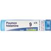 Boiron Poumon Histamine 9ch Granuli 4g