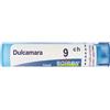 Boiron Dulcamara 9ch 80 Granuli