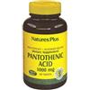 LA STREGA SRL ACIDO PANTOTENICO 1000 MG