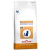 Royal Canin Alimento Gatto Senior con Stage - 400 gr