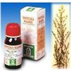 SP.SOLIDAGO VI.AUR.TM 50ml