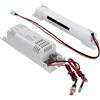 Modulo di Emergenza Pannelli LED con driver 60-100V aut. 3H - Professional