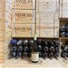 Oddero Riesling Langhe DOC 2023 Oddero