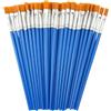 AetherAurora 50 Pezzi Piatti Pennelli Acquerello 8 mm Pennelli in Nylon Lavabile Riutilizzabile Portatile e Resistente per Pittura Acrilica, Olio, Acquerello, Guazzo, Viso, per Artisti, Adulti e Bambini (Blu)