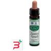 SANTIVERI Sa AINSWORTHS RECOV REMEDY 10ML