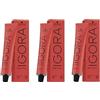 Schwarzkopf Igora Royal 8-0 SET 3 X 60 ML