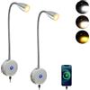 Intckwan Lampada da lettura a LED 12 V, 3 temperature di colore, 3 W, dimmerabile, collo di cigno flessibile, DC12-24 V, per auto, camion, camper, campeggio, barca (2 pezzi)