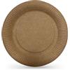 Algon | Set di 10 piatti usa e getta - piatti usa e getta misura 20 cm resistenti ed ecologici, ideali per feste, eventi e riunioni