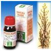 SPECCHIASOL Srl Specchiasol Verga d'Oro 26 Tintura Madre 50 ml