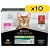 Purina Pro Plan Pro Plan Cat Nutrisavour Sterilised con Manzo Multipack 10x85 g