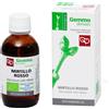 FITOMEDICAL Srl MIRTILLO ROSSO MG BIO 50ML