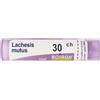 Boiron Lachesis Mutus 30ch Granuli