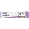 Boiron Arnica Montana 30ch Globuli