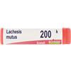 Boiron Lachesis Mutus 200k Globuli