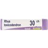 Boiron Rhus Toxicodendron 30ch 1g Monodose