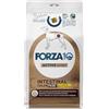 Sanypet Forza 10 Intestinal Colon Fase 1 con Agnello e Sorgo Bianco Crocchette per Cani con Problemi Intestinali e Colitiche 1,5 kg