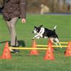 TRIXIE Aste e Coni per Allenamento Cane 1 PZ