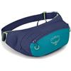 Osprey Daylite Waist
