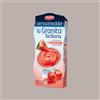 DOLFIN 12 x 100 Ml Granita Siciliana al Gusto Anguria Senso Freddo Pronta da Gelare Dolfin (6 astucci da 2)