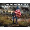 INFINITE STATUE Civil War 1863 Statua 1/6 John Wayne INFINITE STATUE
