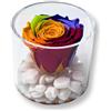 Premium-rose.com Box tondo con Rosa Multicolor Stabilizzata e Marmo di Carrara, Idea Regalo Unica e Raffinata, Idea regalo per lei, Natale, Cubo Rosa, Fatta in Italia (multicolor 1099)