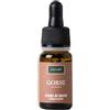 SOLIME Srl GORSE 10ML